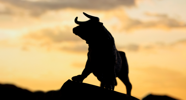 O que é Bull Market e como funciona?