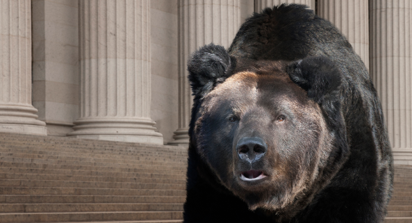 O que é Bear Market e como ele influencia seus investimentos?  